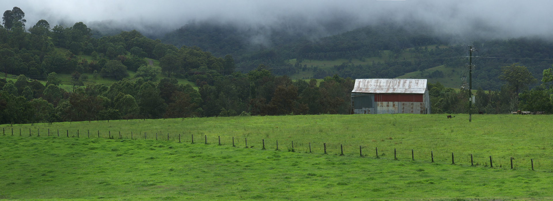 Shed in the mist, near Barrington Tops National Park