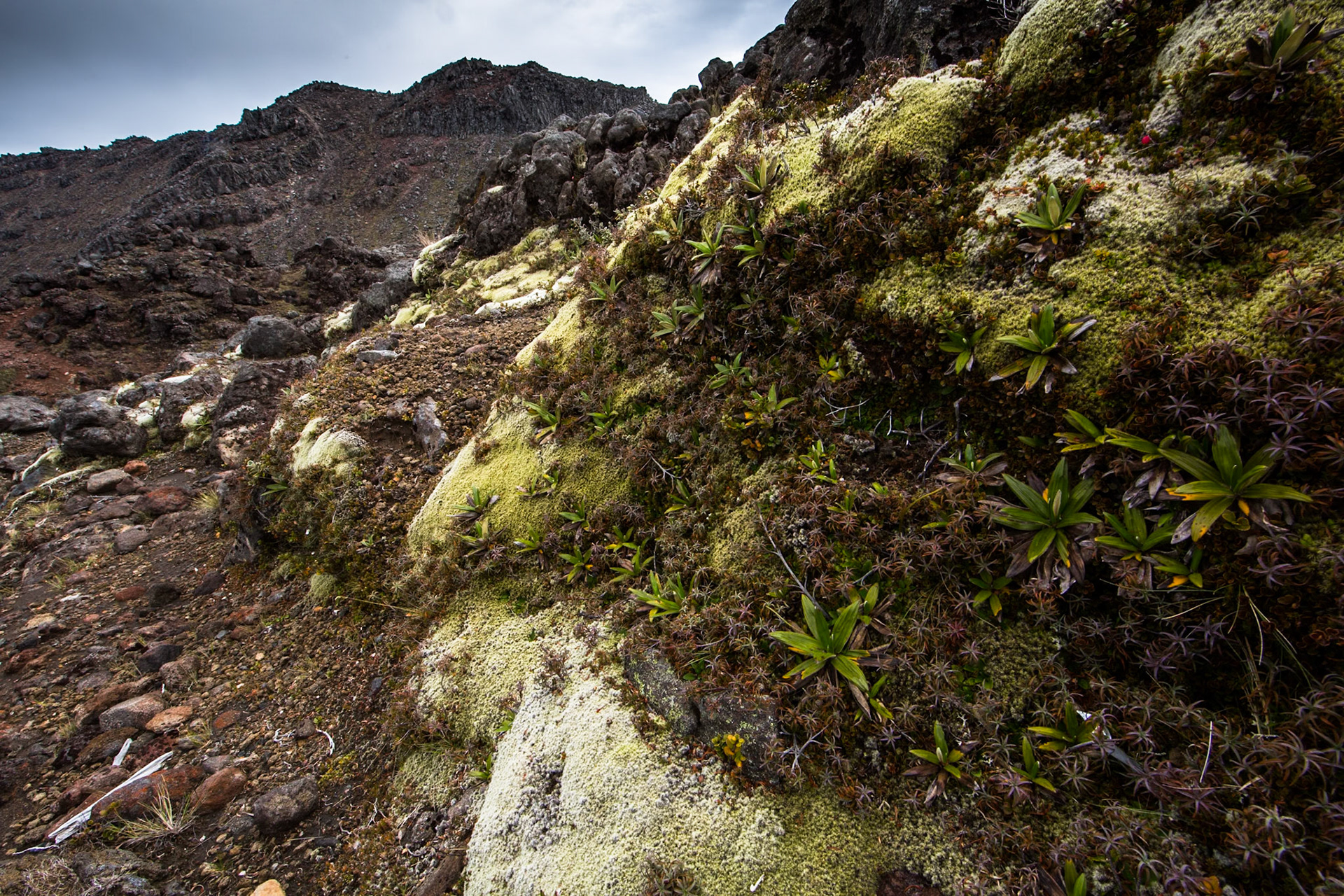 Whakapapa, Tongariro, New Zealand