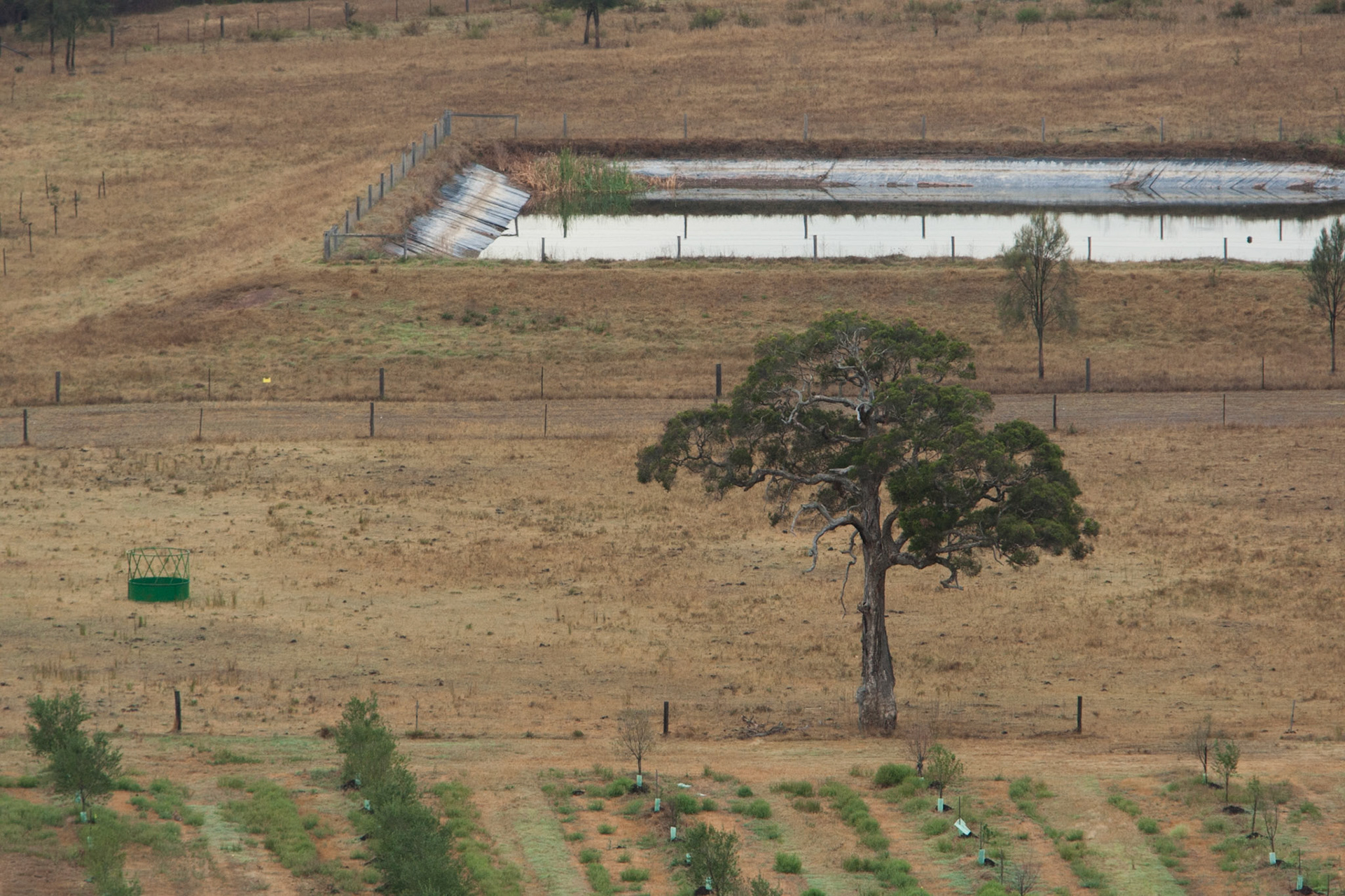 Hot air balloon ride in the Hunter Valley, New South Wales.