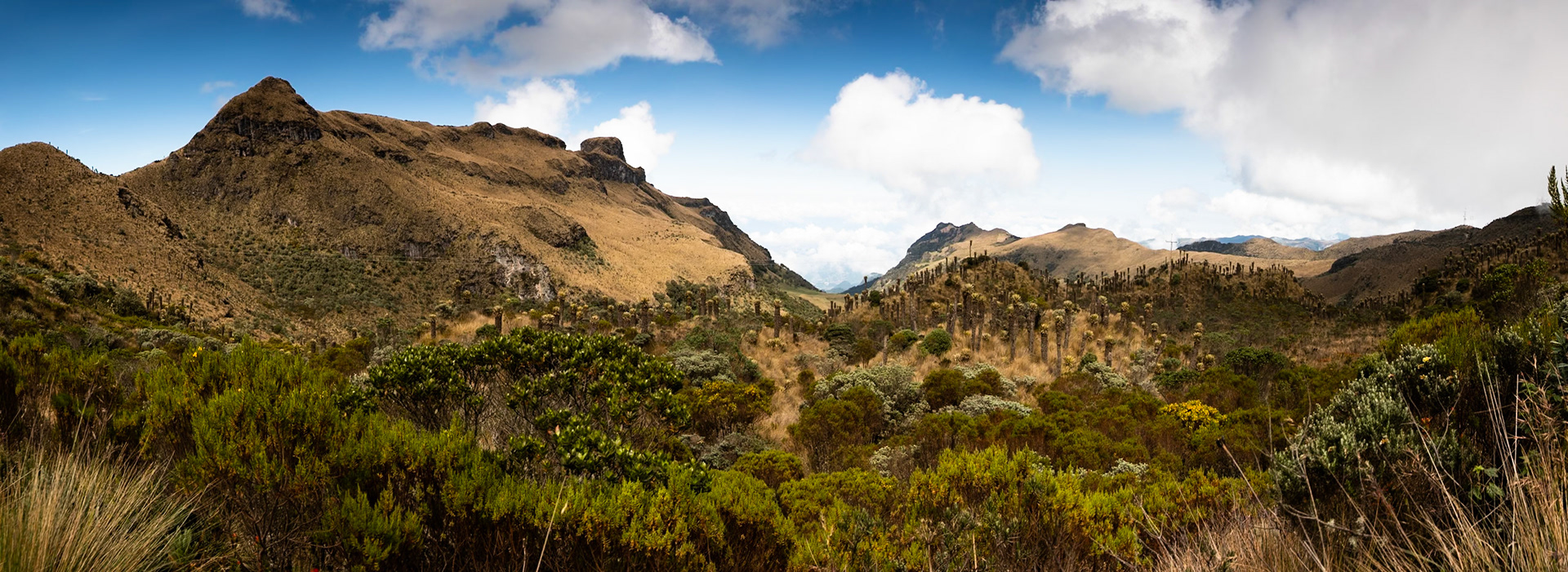 Terminales del Ruiz, Colombia