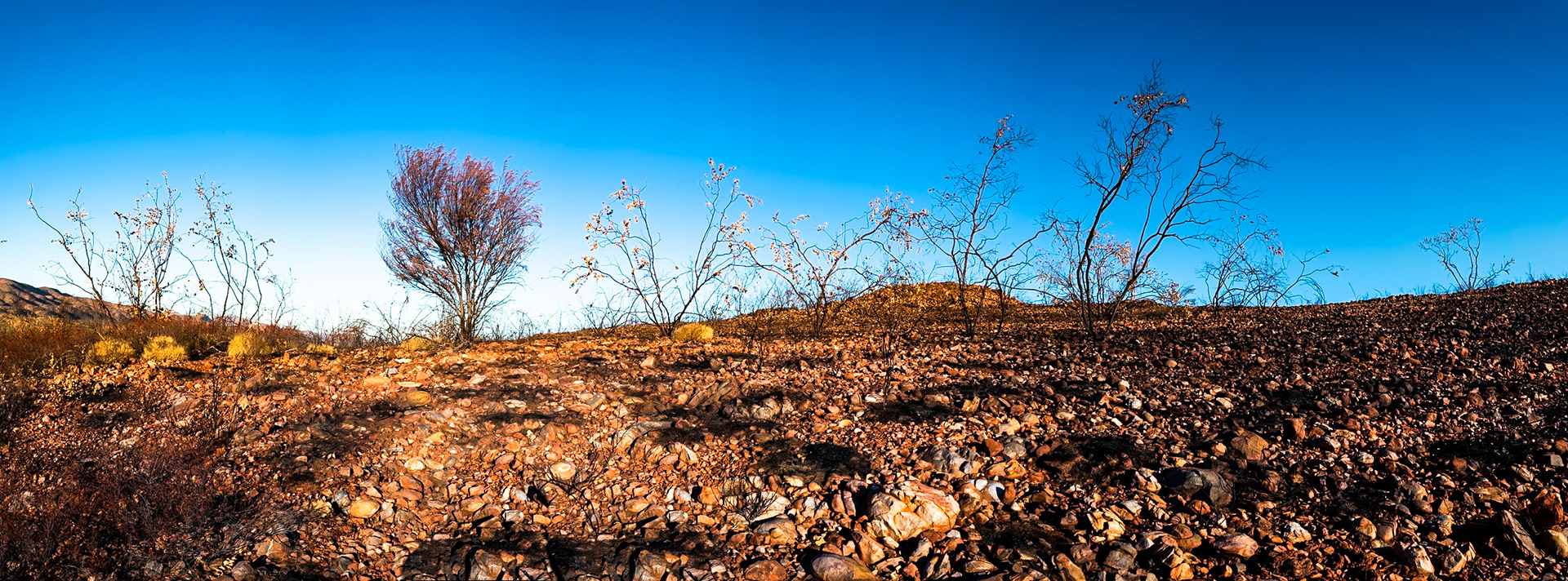 Camp Fearless, Larapinta Trail, Northern Territory, Australia