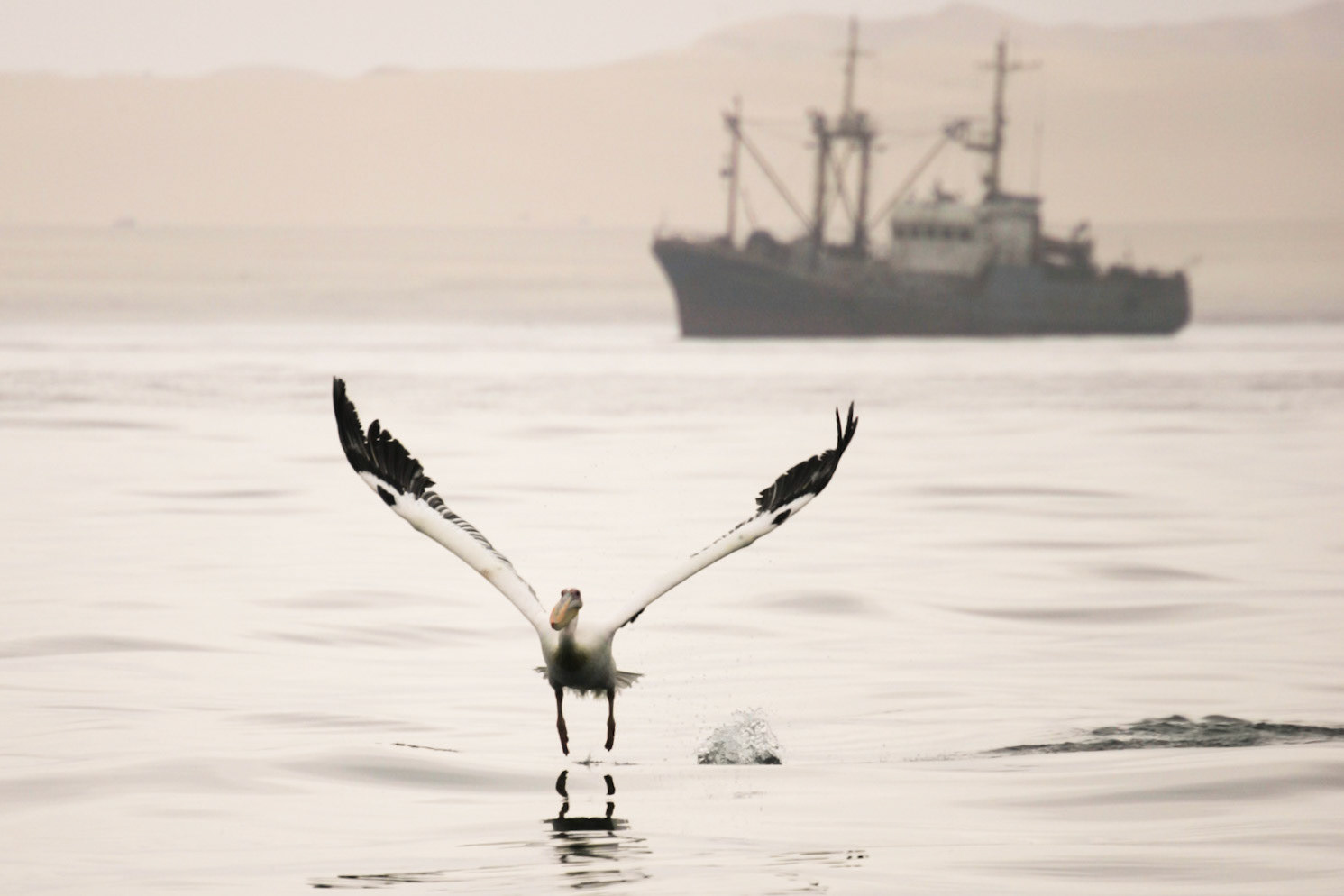 Sesriem to Sandwich harbour, Namibia