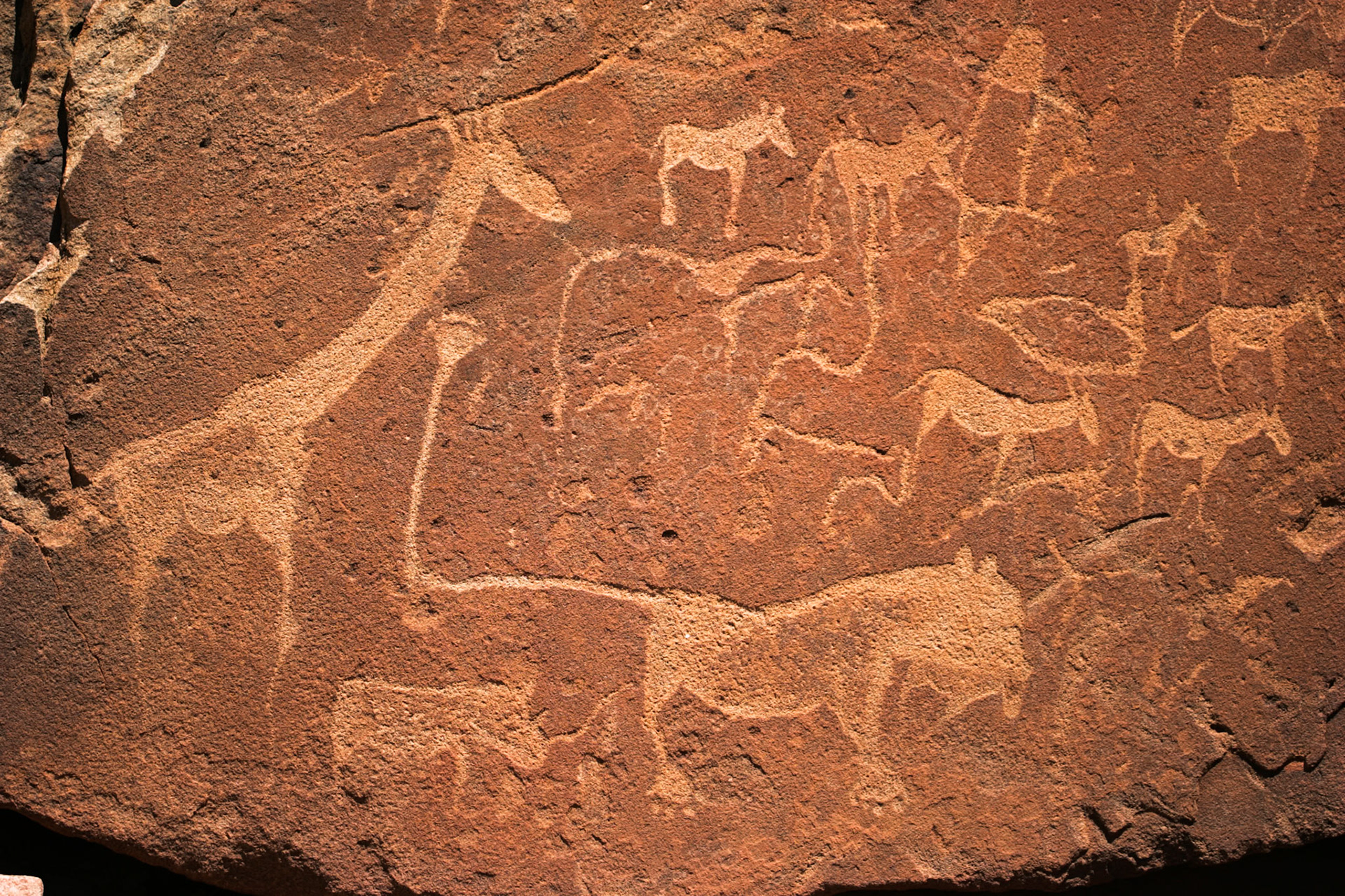 Swakopmund to Rhino Camp in Damaraland