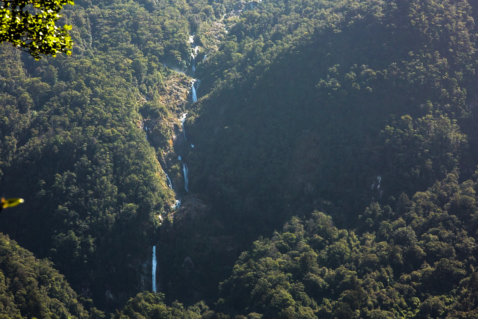 Hollyford Track to Pyke Lodge, New Zealand