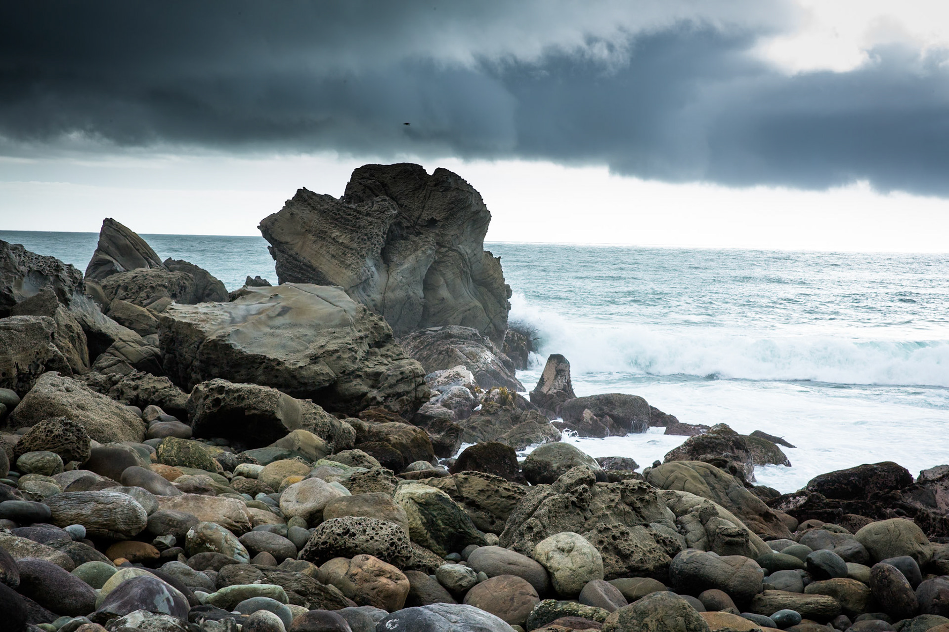 Longreef, Hollyford Track, Pyke Lodge to Martin's Bay, New Zealand