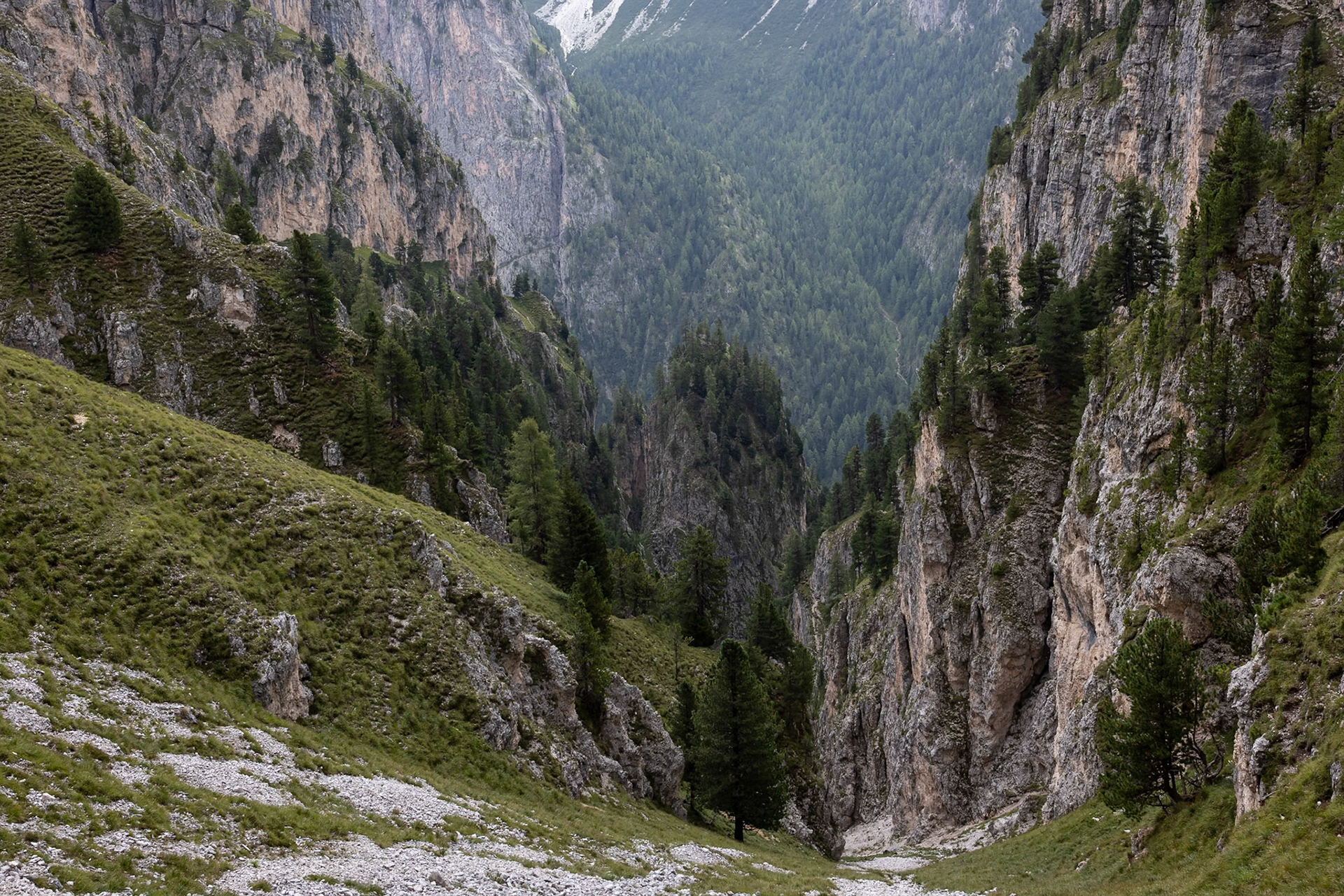 Stevia, Selva di Val Gardena, Dolomites, South Tyrol, Italy