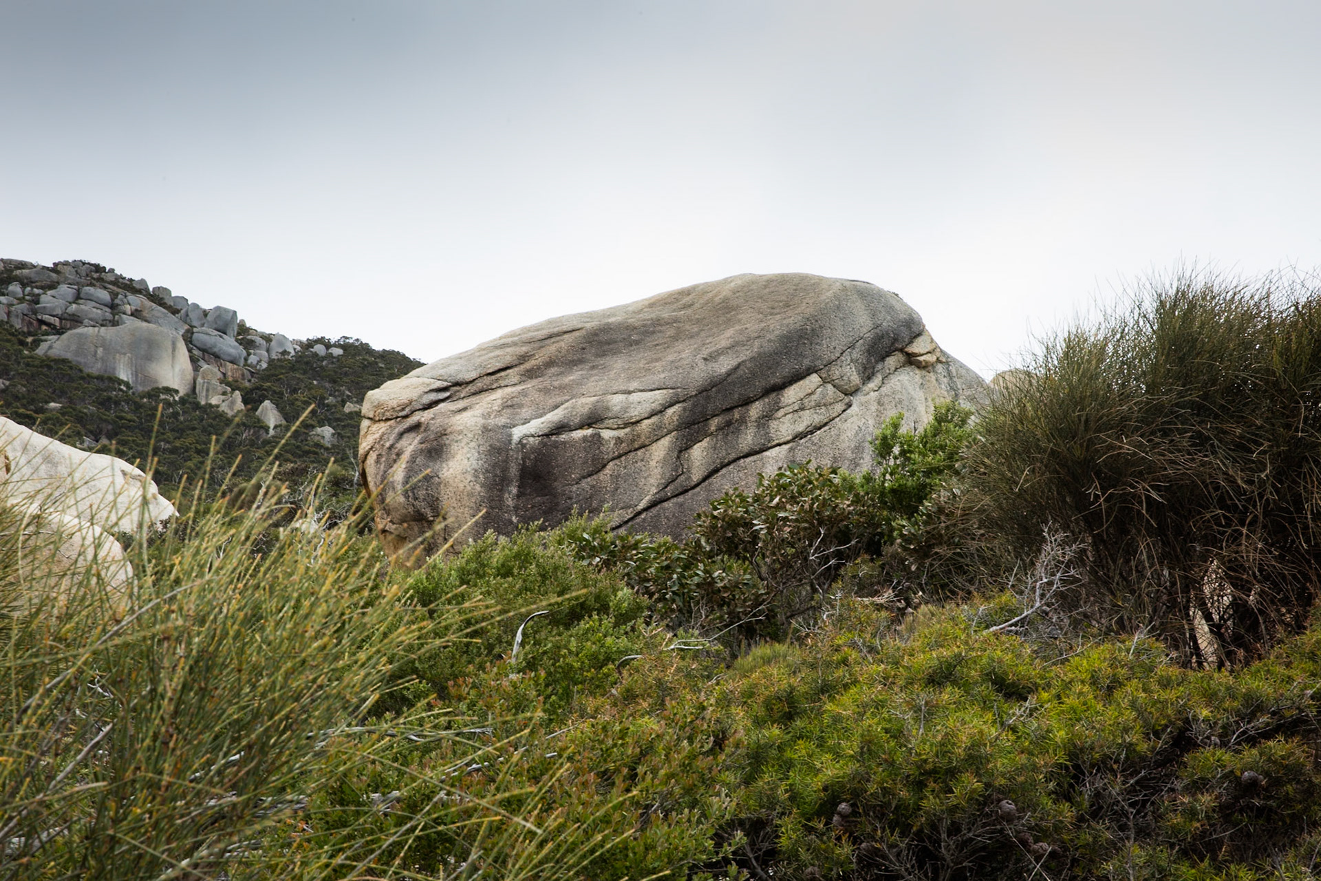 Circuit from Telegraph Saddle via Telegraph Junction to Oberon Bay (lunch), then Little Oberon Bay, Norman Point  and Norman Beach to Tidal River.
