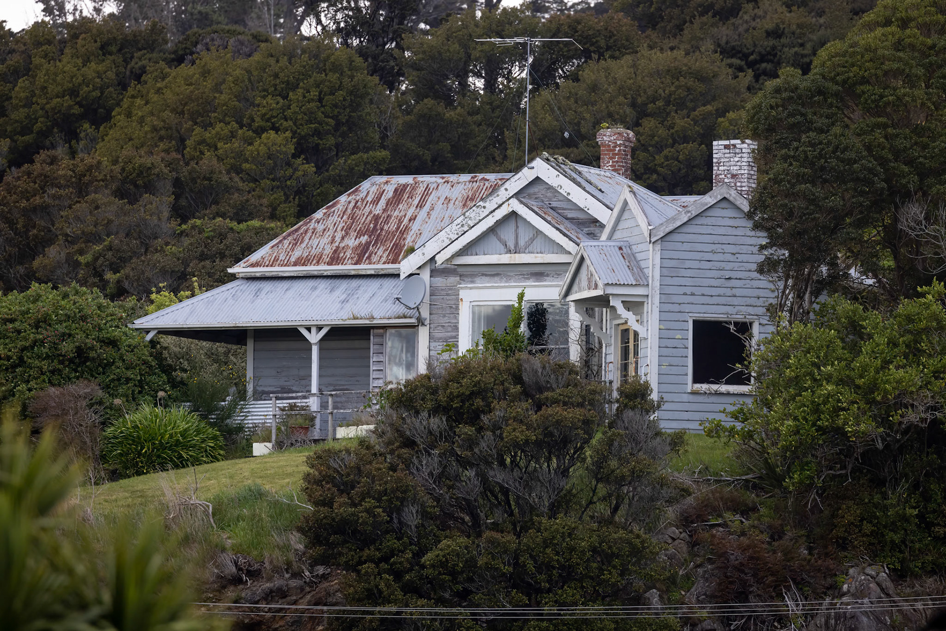 Stewart Island, New Zealand