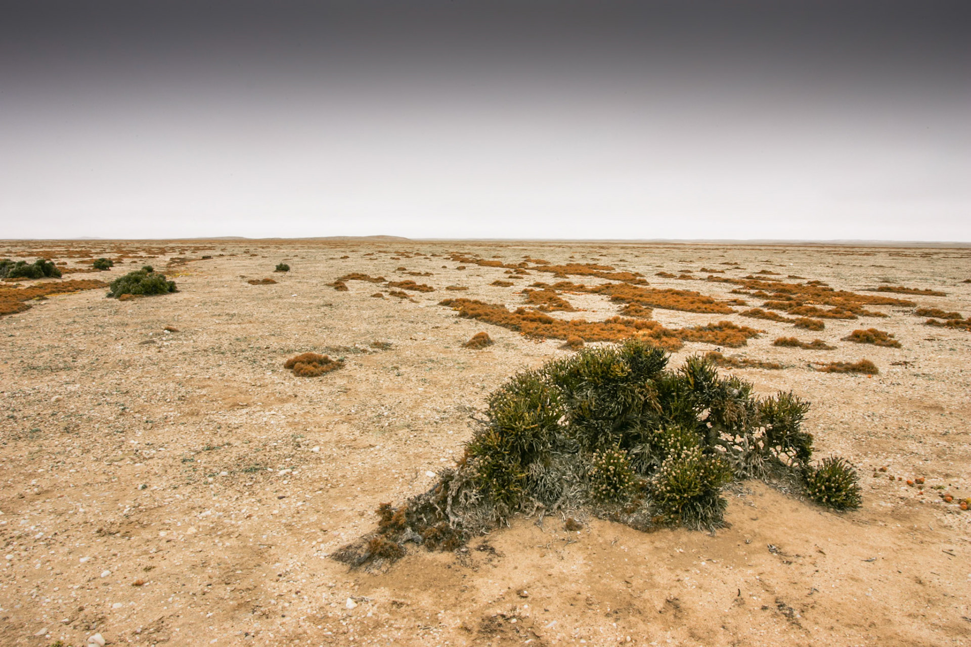Swakopmund to Rhino Camp in Damaraland
