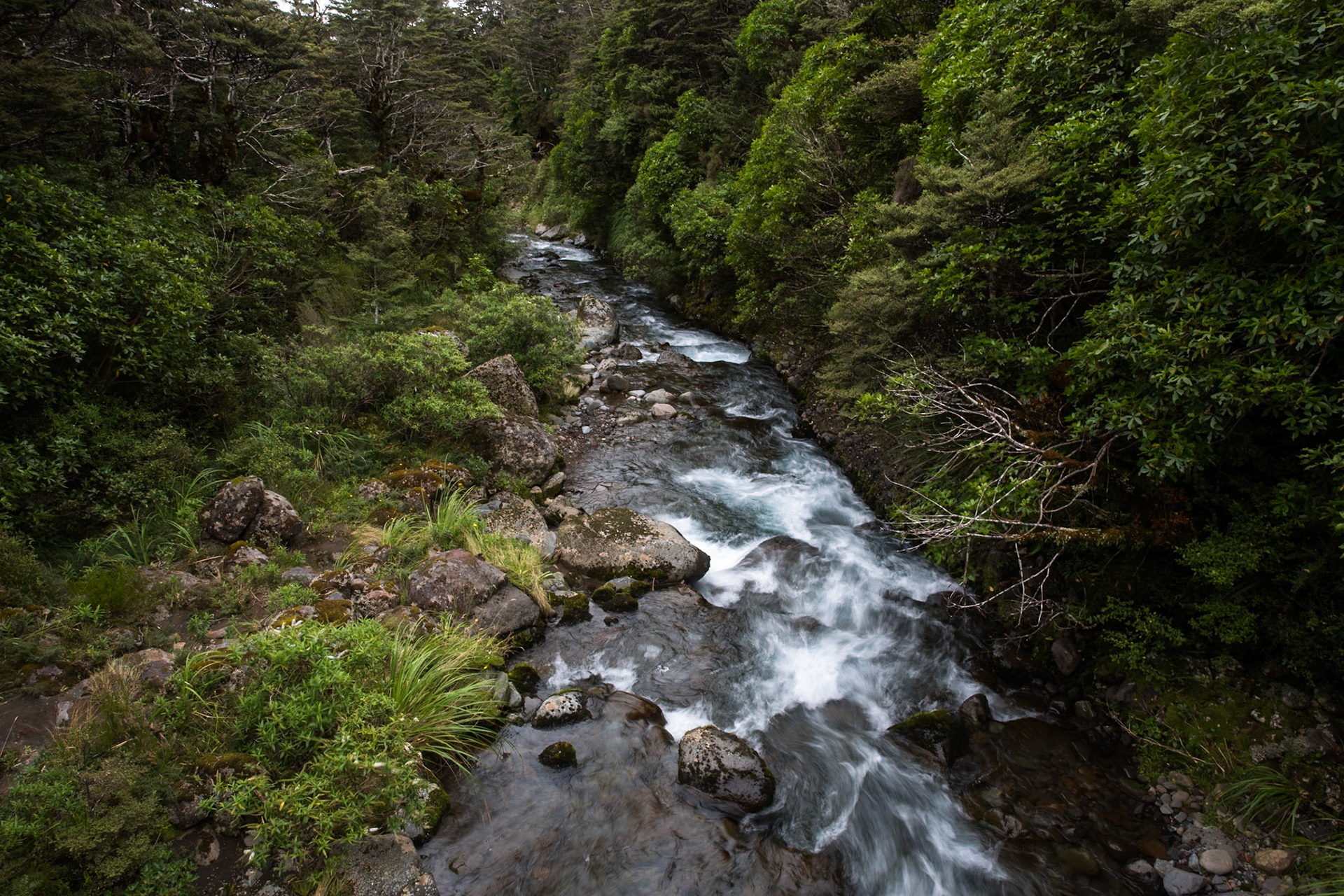 Silica rapids, Tongariro, New Zealand