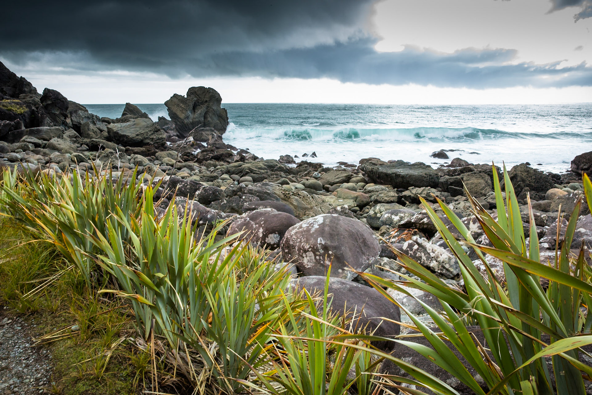 Longreef, Hollyford Track, Pyke Lodge to Martin's Bay, New Zealand