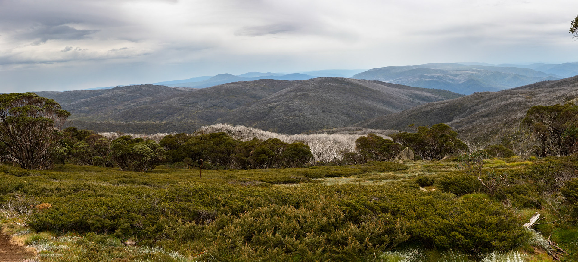 Thredbo to the cablecar and return, Mount Kosciuszko National Park, Snowy Mountains, New South Wales