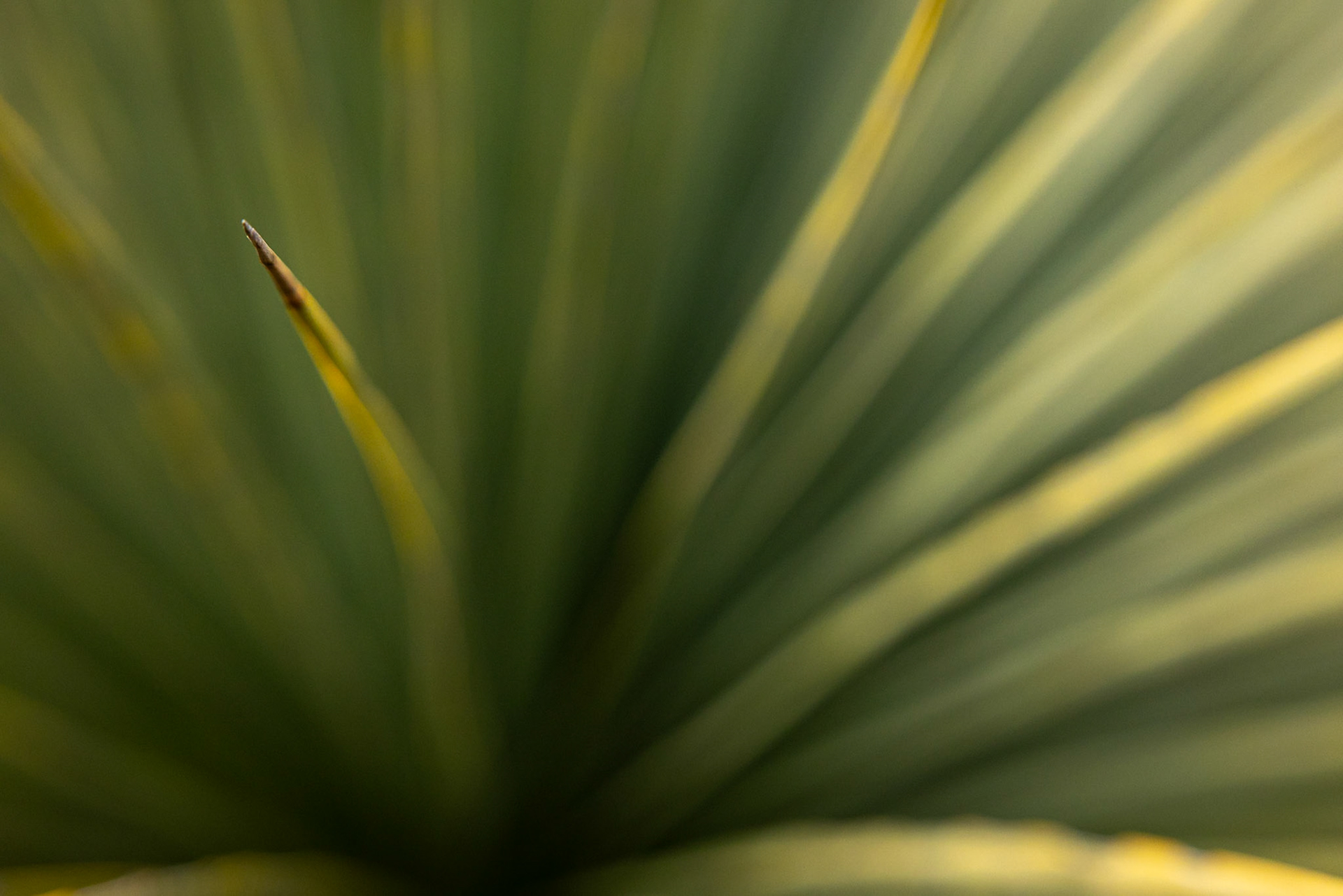 Kangaroo Island, South Australia