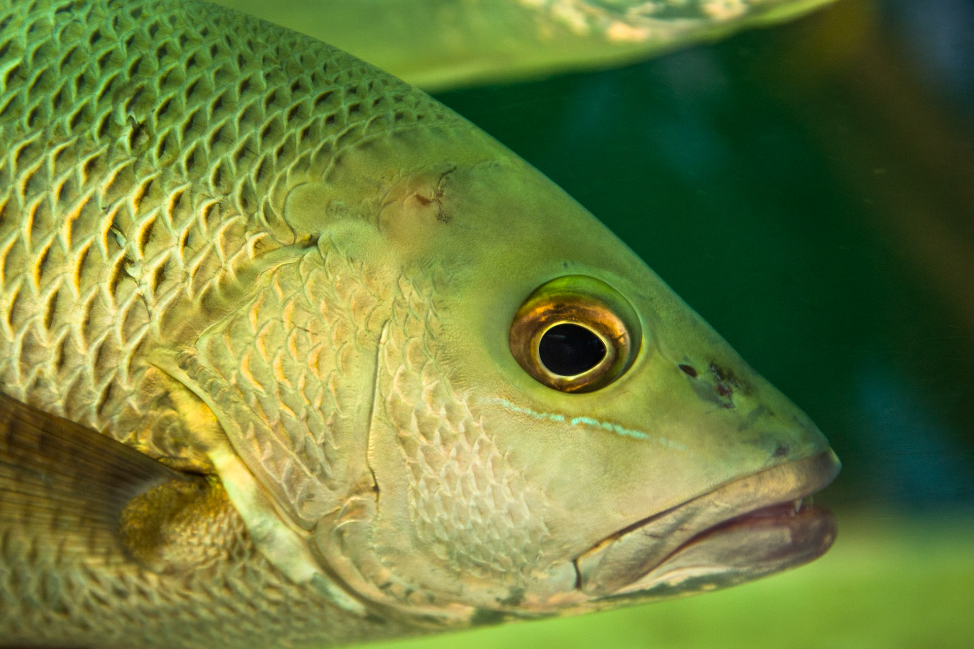 Broome, West Australia