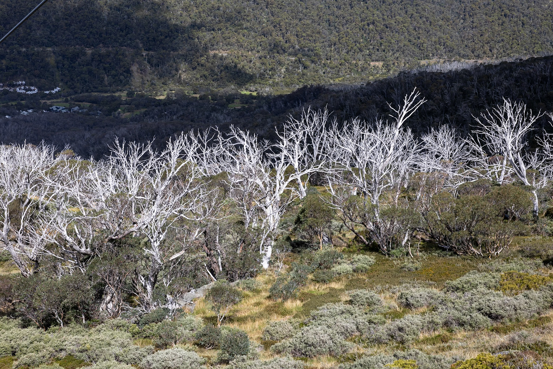 Thredbo to Kosciuszko Summit, Snowy Mountains Mountains, New South Wales, Australia