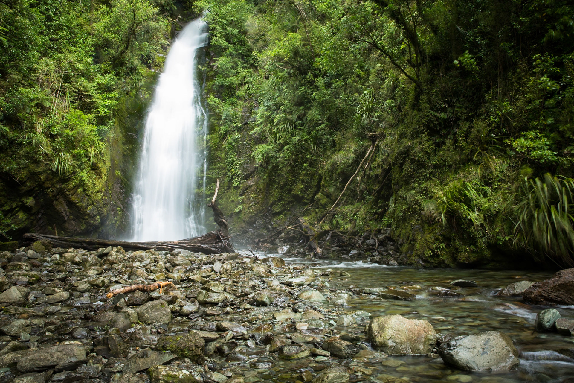 Hollyford Track to Pyke Lodge, New Zealand