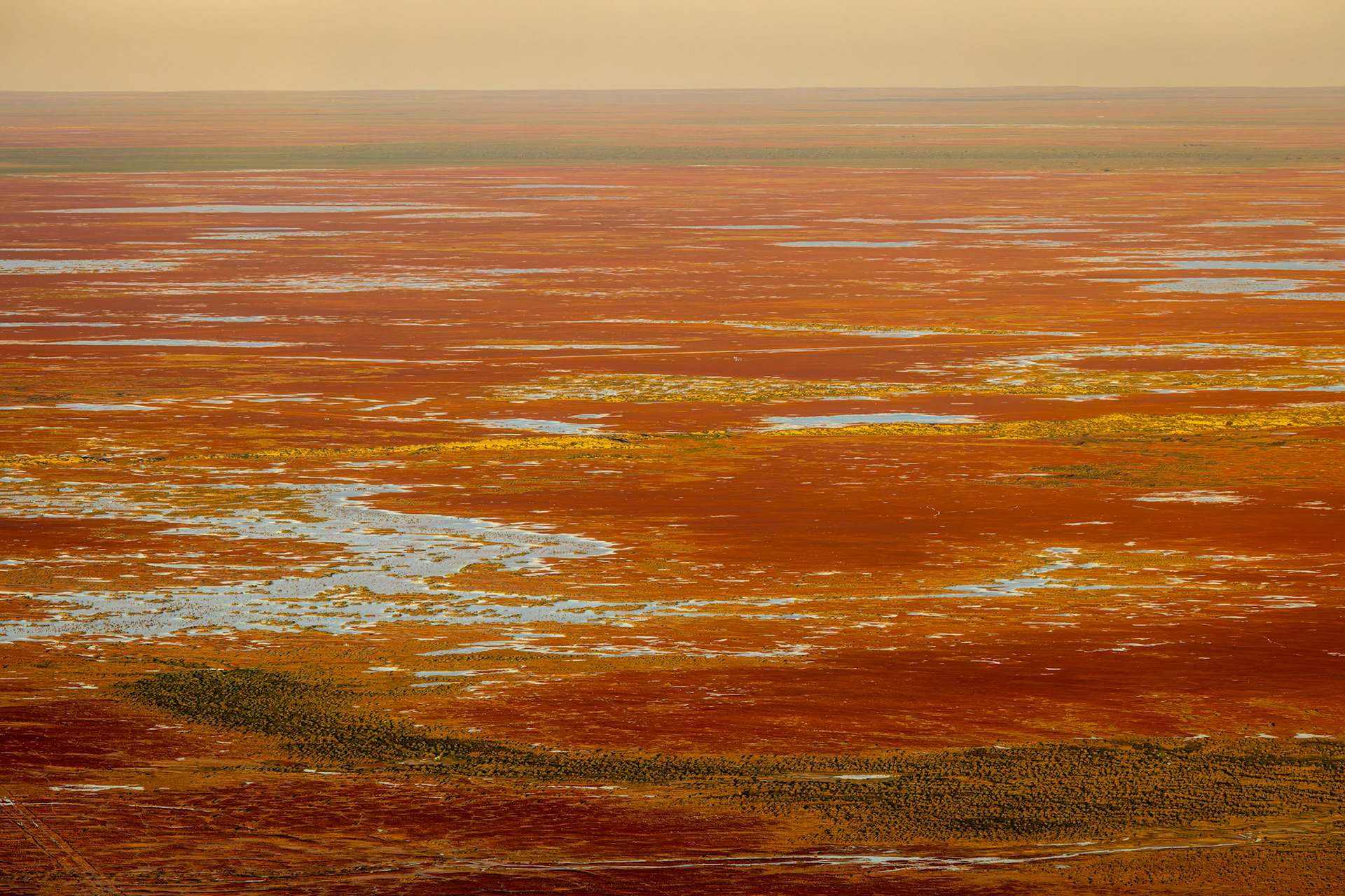 Landscape, Goyder lagoon, Birdsville, Queensland, Australia