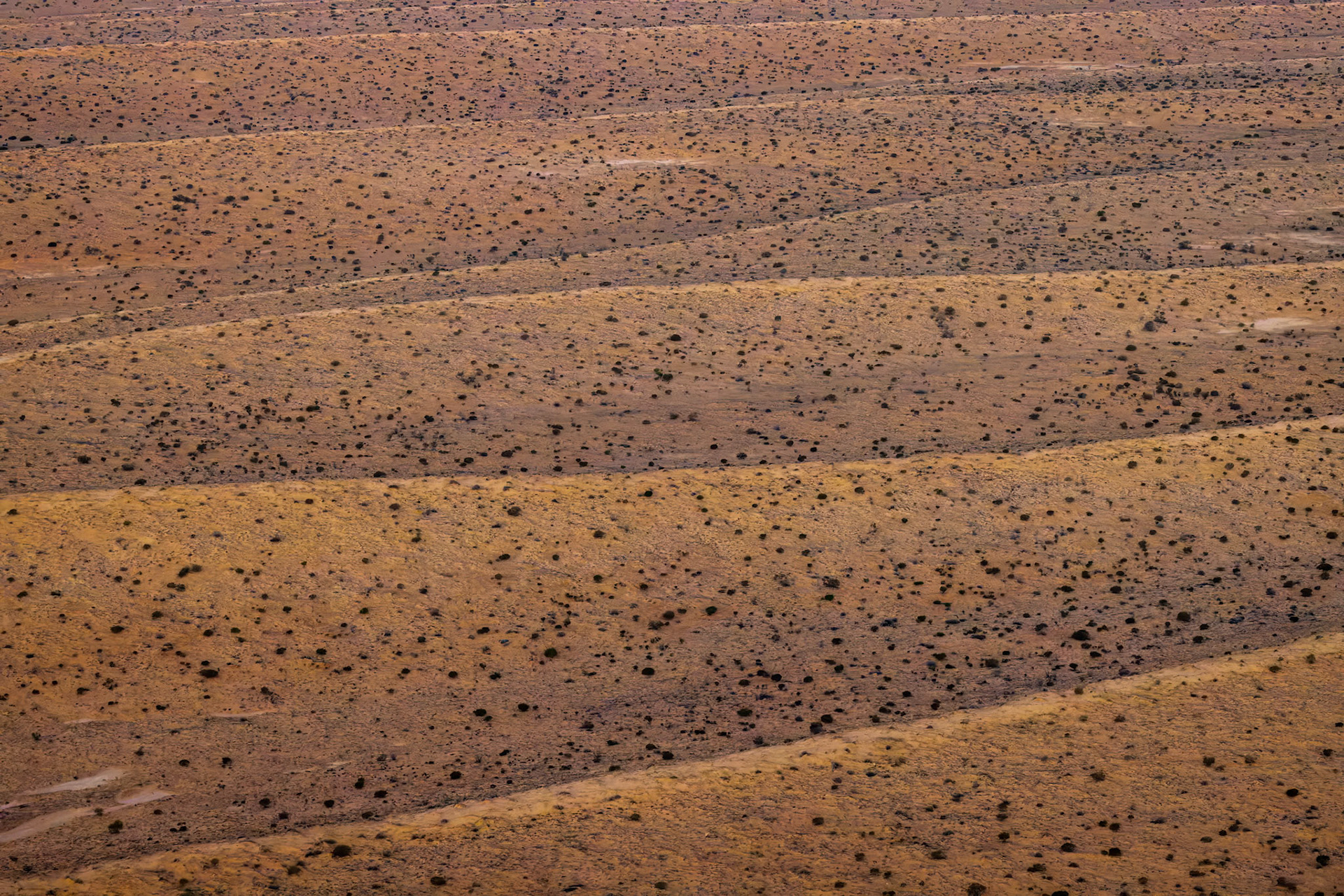 Landscape, Goyder lagoon, Birdsville, Queensland, Australia