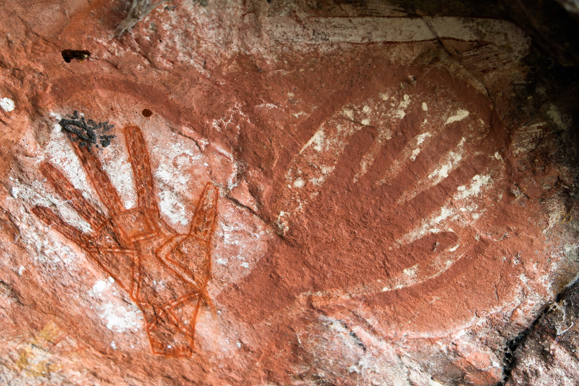 Rock-art hands, Mount Borradale, Arnhemland, Northern Territory