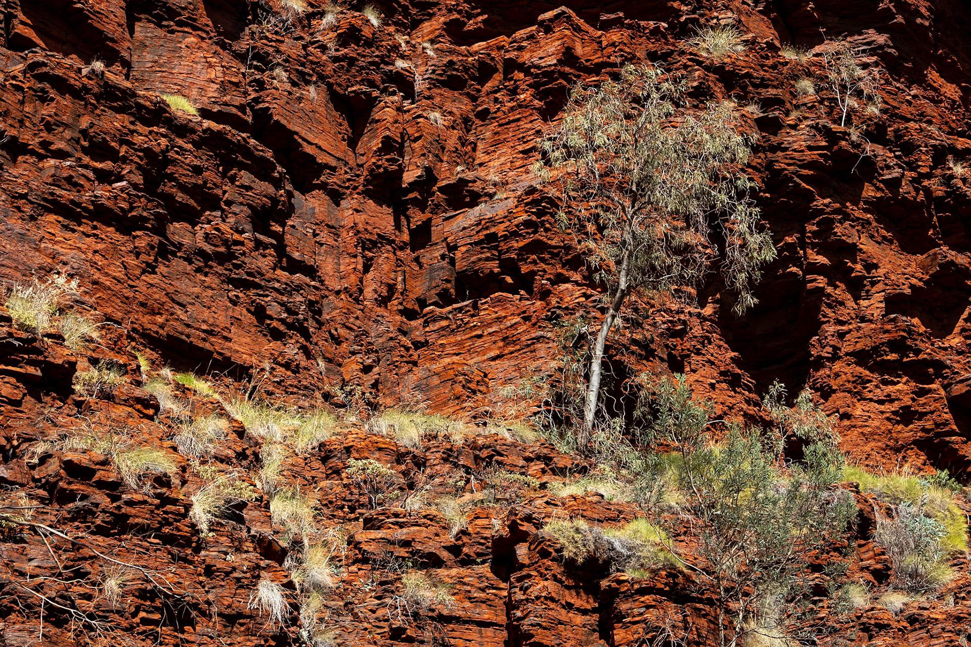 Handrail Pool, Weano Gorge, Karijini National Park, Western Australia