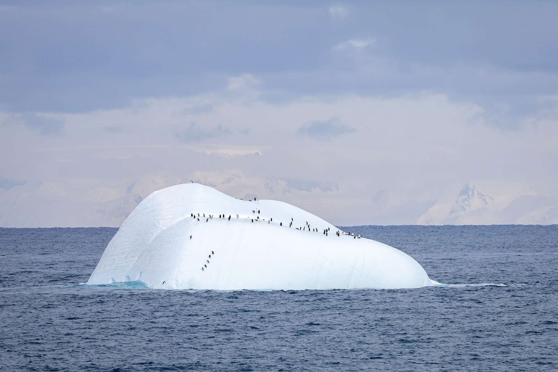 Landscape, Whaler's Bay, Deception Island