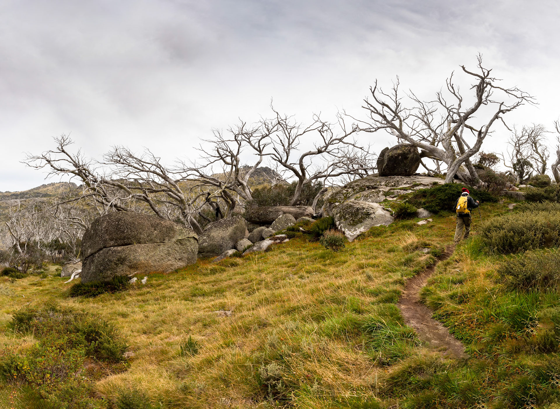Thredbo to the cablecar and return, Mount Kosciuszko National Park, Snowy Mountains, New South Wales
