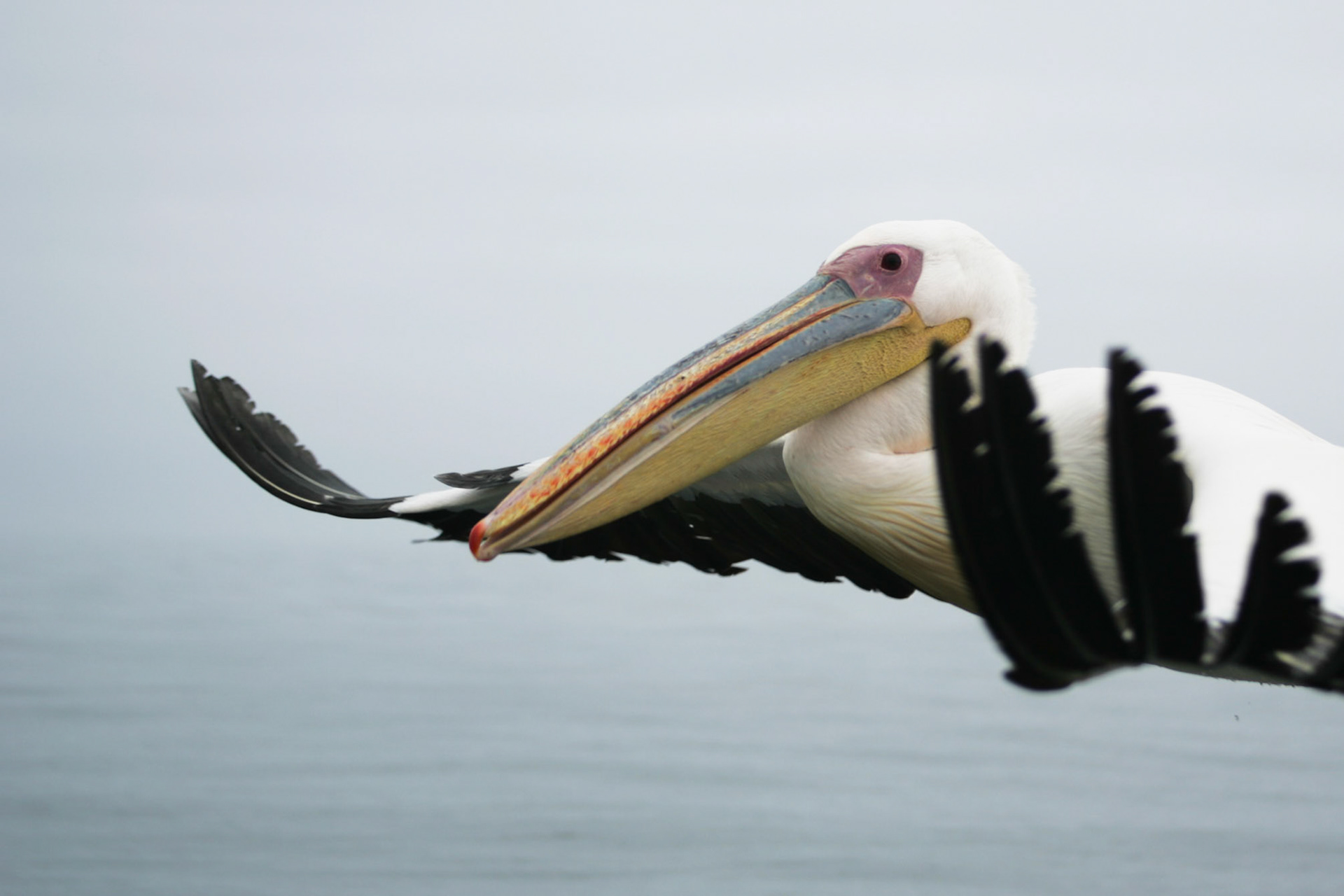 Sesriem to Sandwich harbour, Namibia