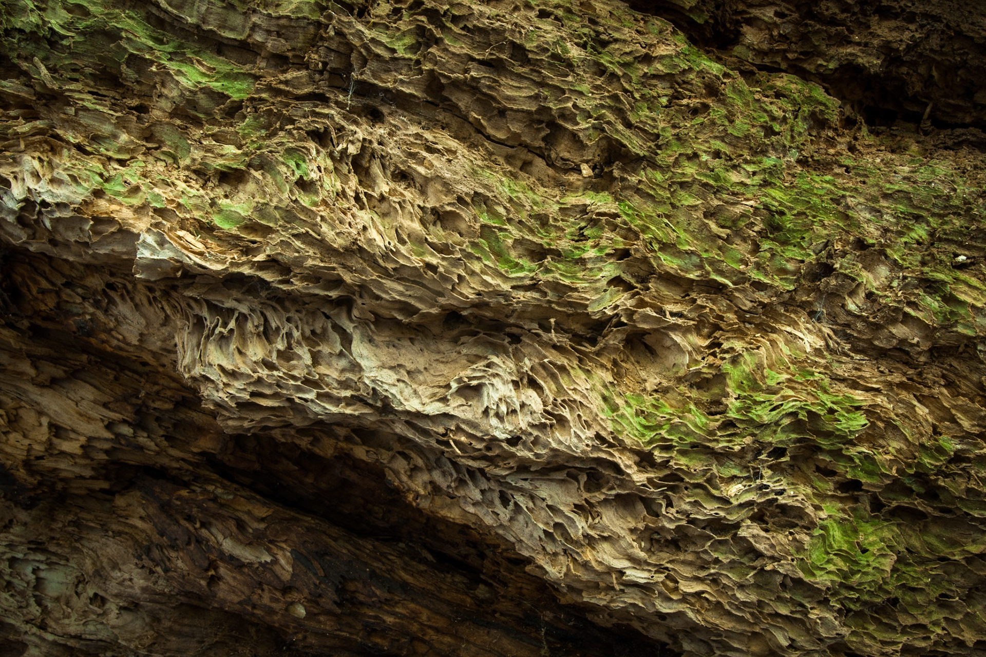 Lamington National Park, Queensland