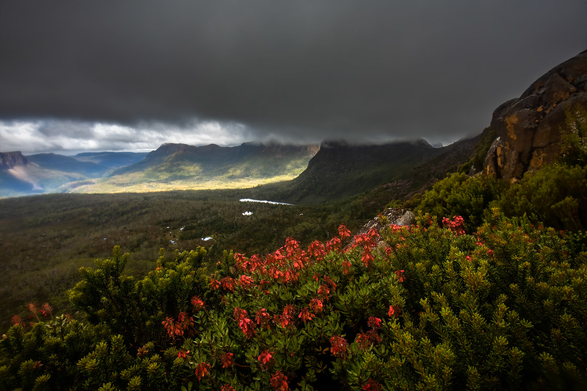 Pelion to Kia Ora, The Overland Track, Cradle Mountain- Lake St Clair National Park, Tasmania.