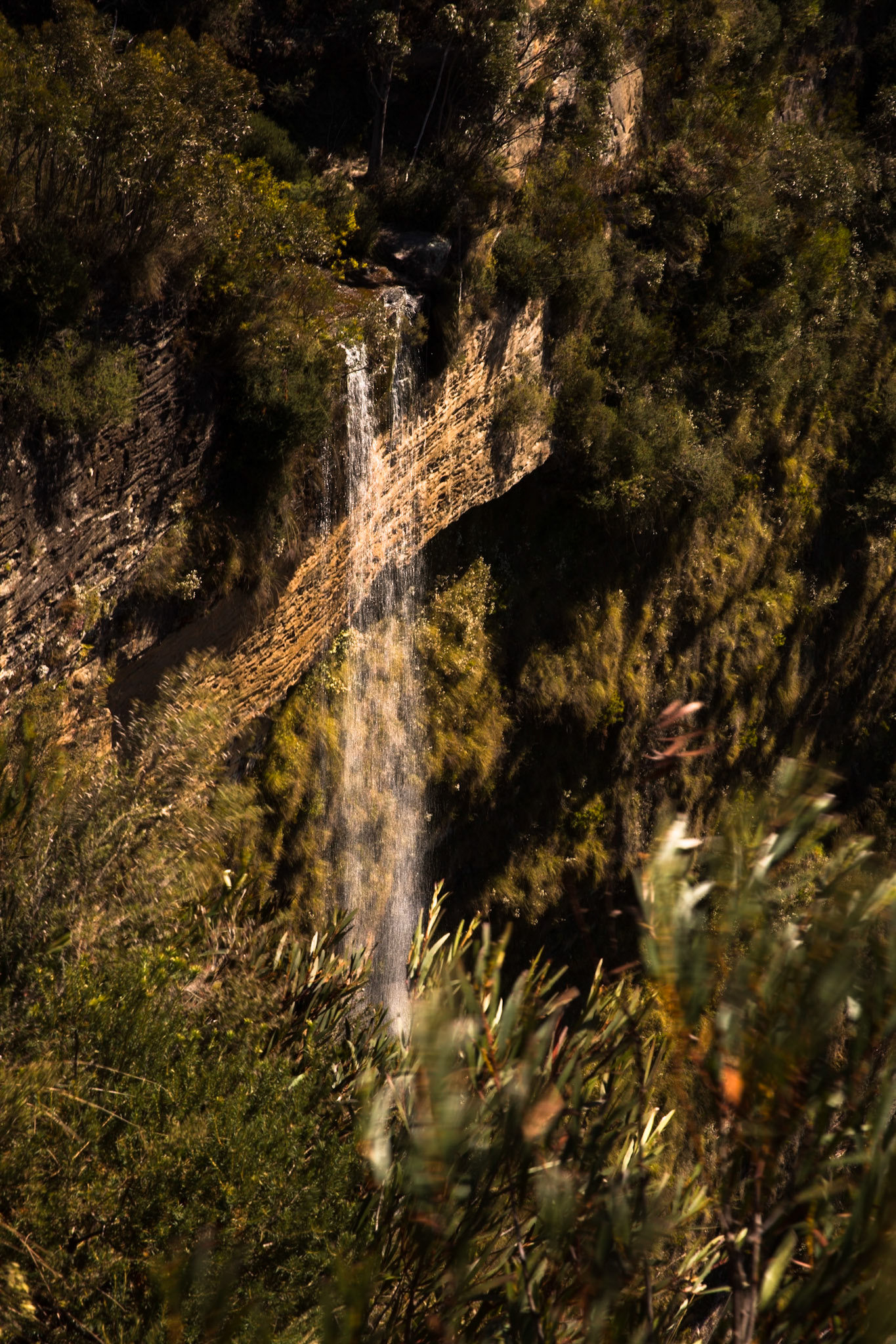 Descended from Neates Glen car park down to and through the Grand Canyon and back up to Evans Lookout. We continued along the clifftop path to Govett's leap and then on to Pulpit Rock. Notes by Peter Watt.