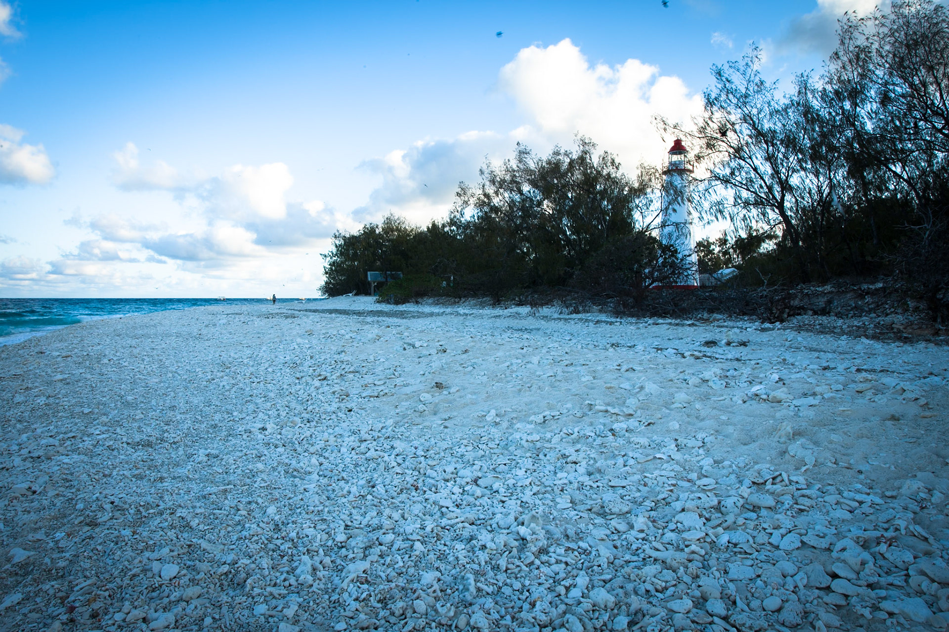 Lighthouse, Lady Elliot Island, Queensland, Australia