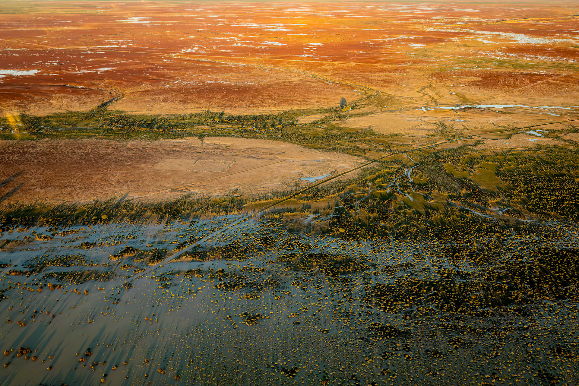Landscape, Goyder lagoon, Birdsville, Queensland, Australia