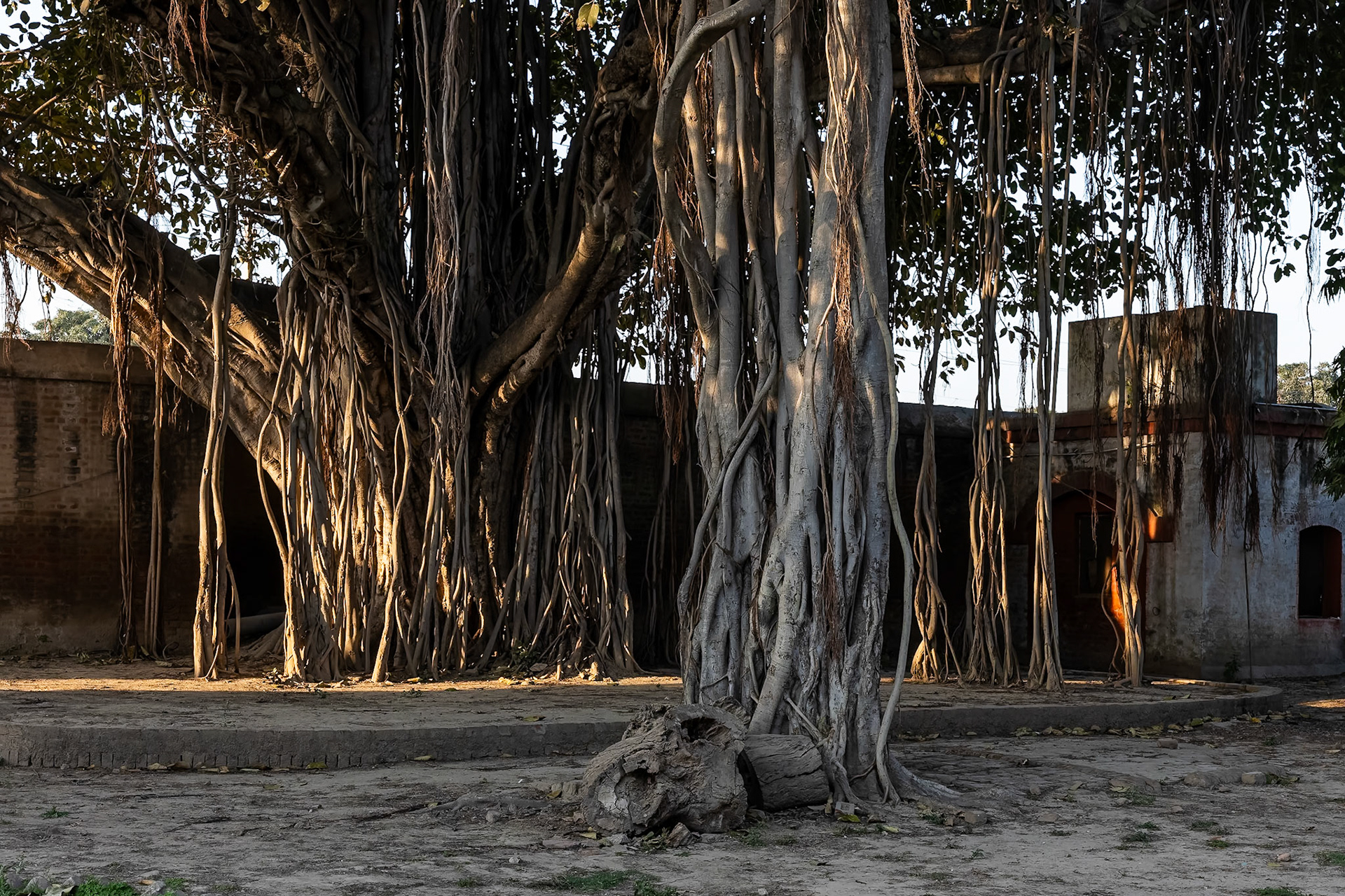 Landscape, Fort Unchagaon, India