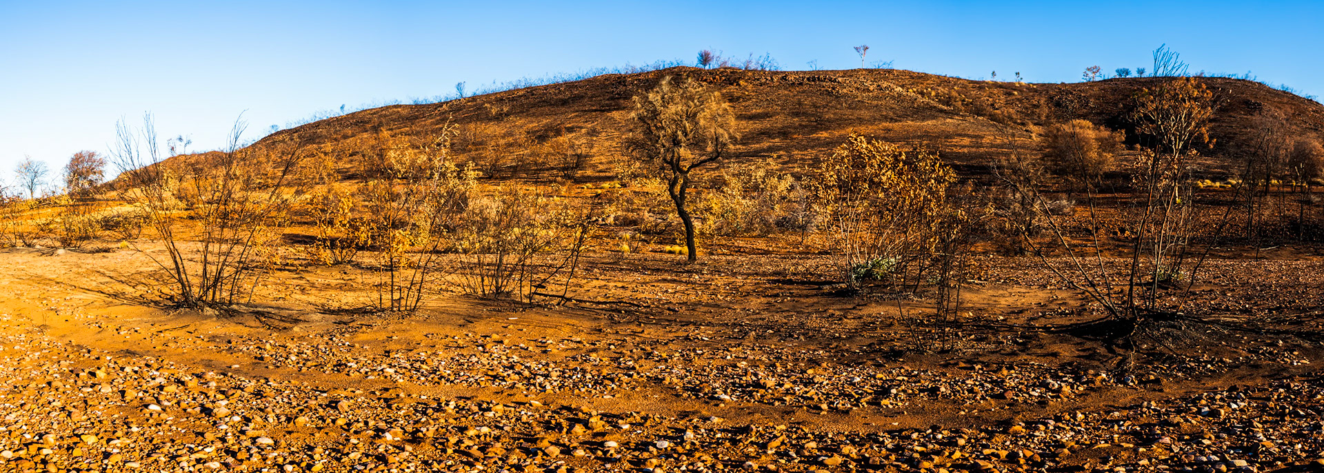 Camp Fearless, Larapinta Trail, Northern Territory, Australia