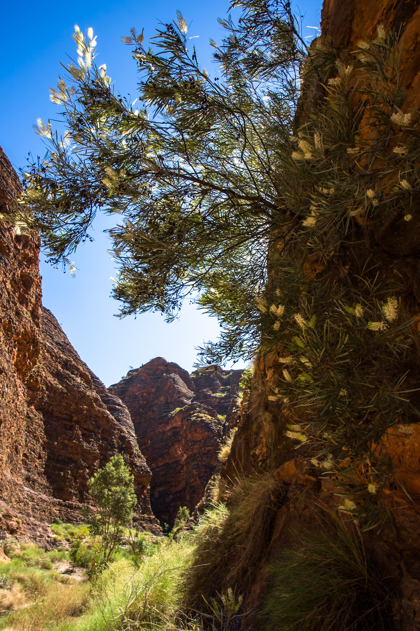 The Bungle Bungles, West Australia