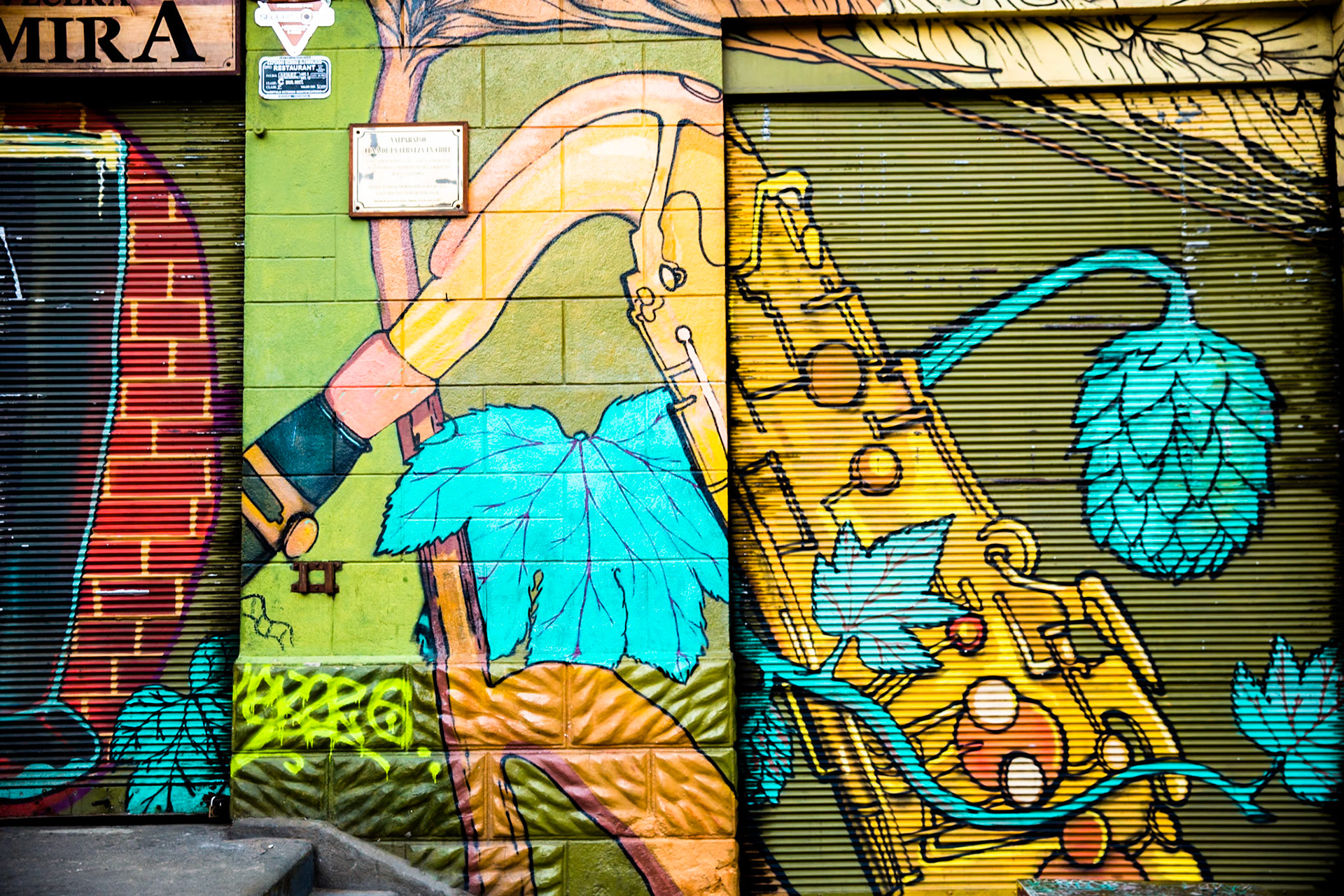 Street art, Valparaiso, Chile