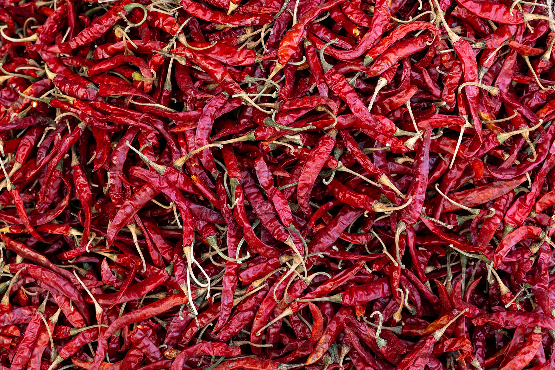 Fort Unchagaon, India