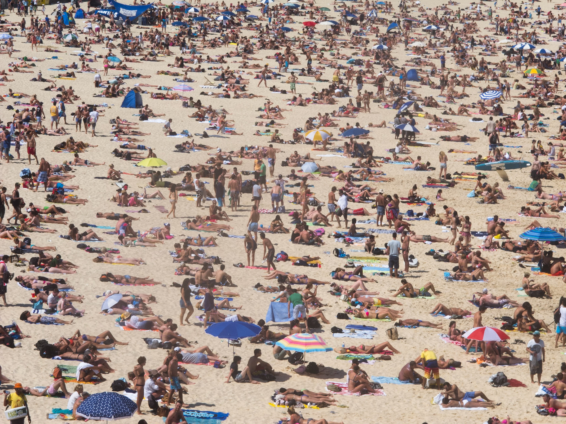 Bondi beach, New year's day 2013