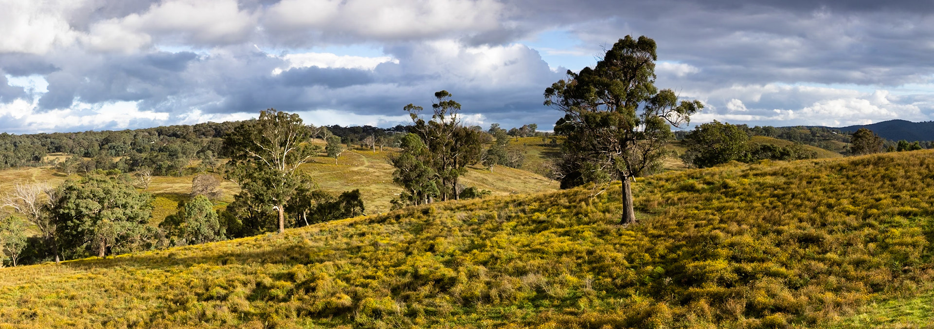 Turon Gates, New South Wales