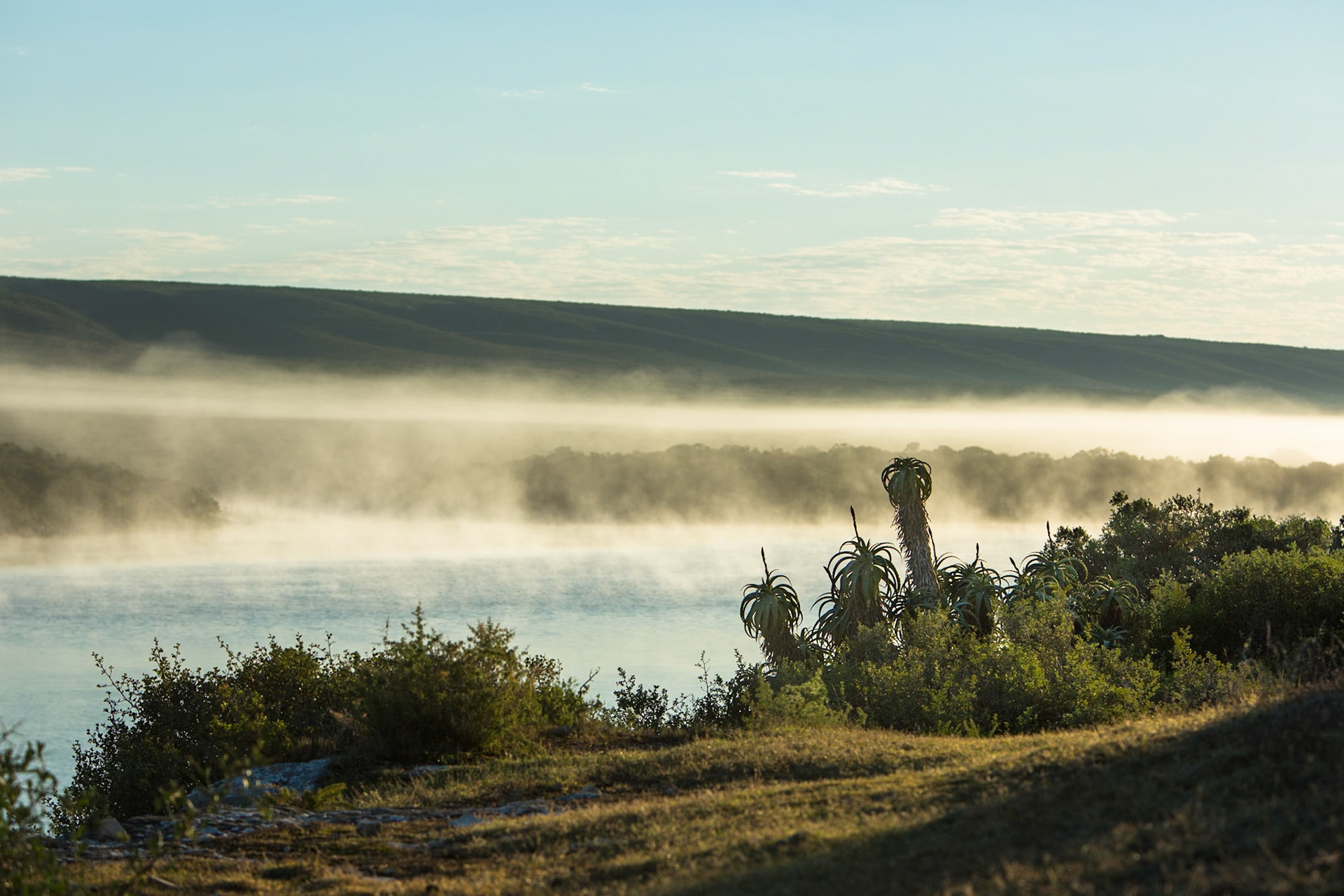 Early morning mist, De Hoop