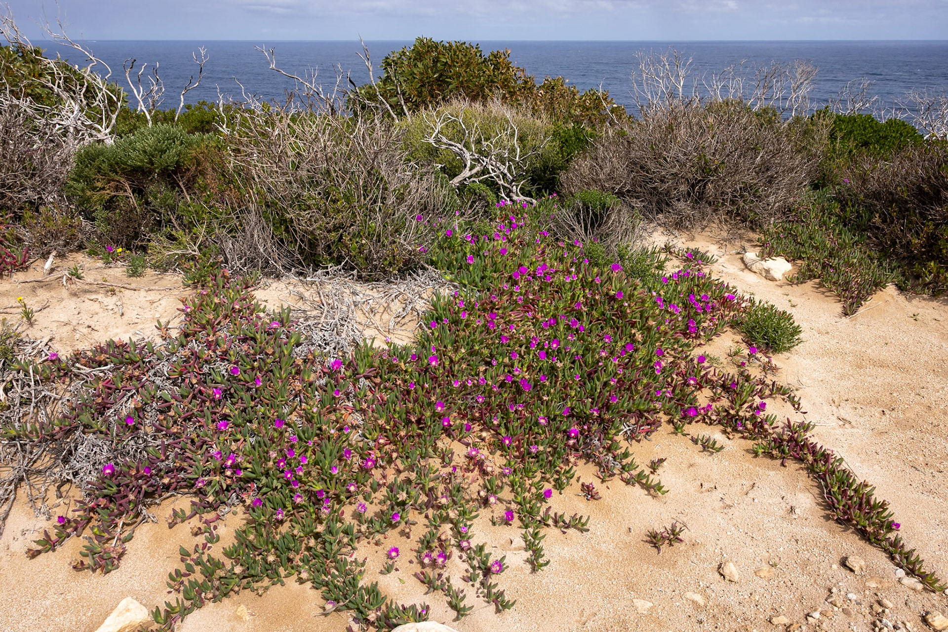 Kangaroo Island, South Australia