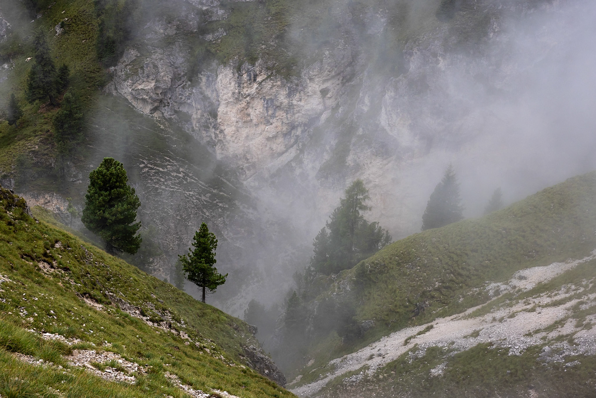 Stevia, Selva di Val Gardena, Dolomites, South Tyrol, Italy