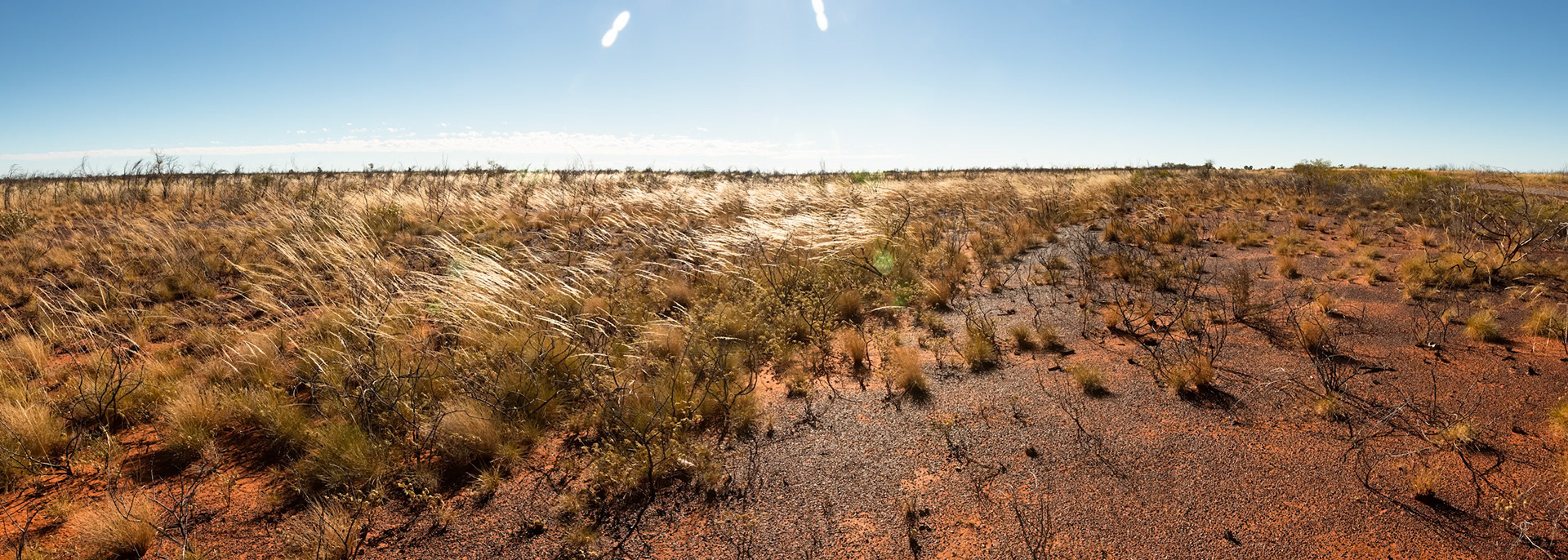 Grassland, Tenant Creek, Northern Territory, Australia