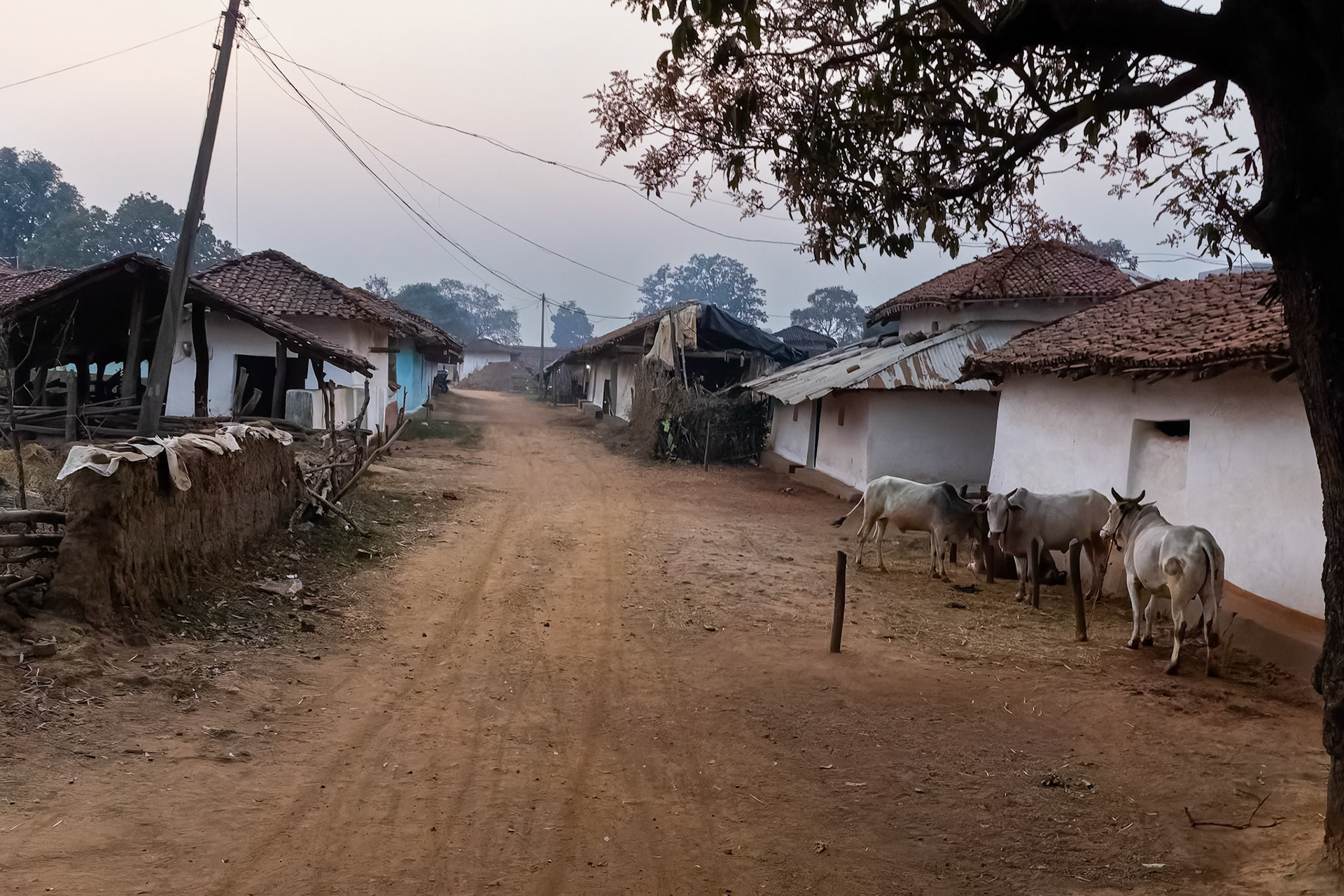 The Bagh, Khana, India
