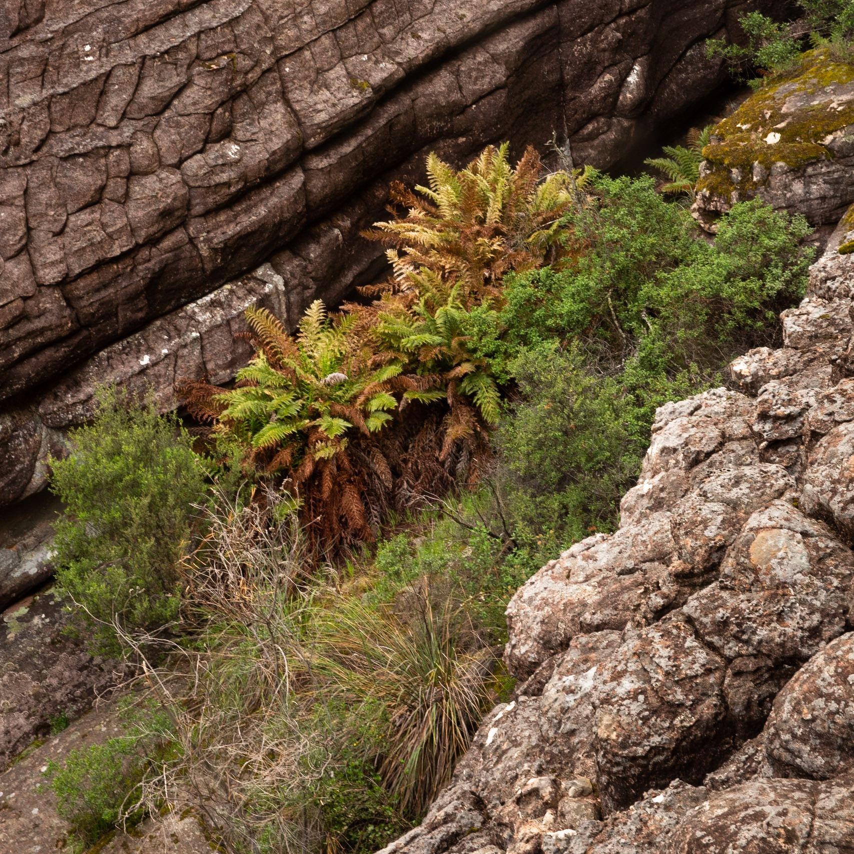 The Pinnacle circuit, Hall's Gap, The Grampians, Victoria