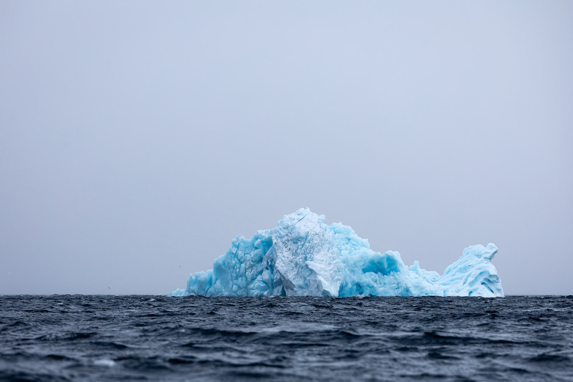 Landscape, Cierva Cove, Antarctica