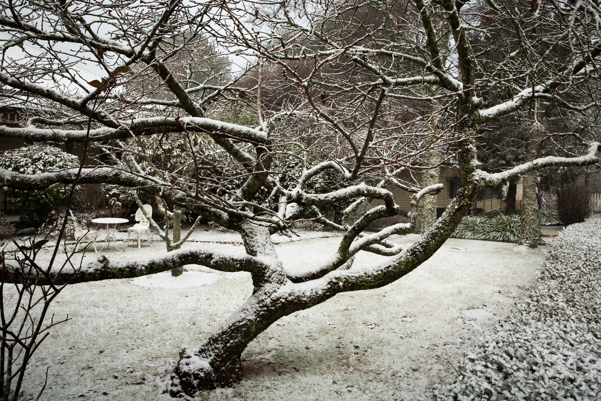 Glenella, Blackheath, Blue Mountains