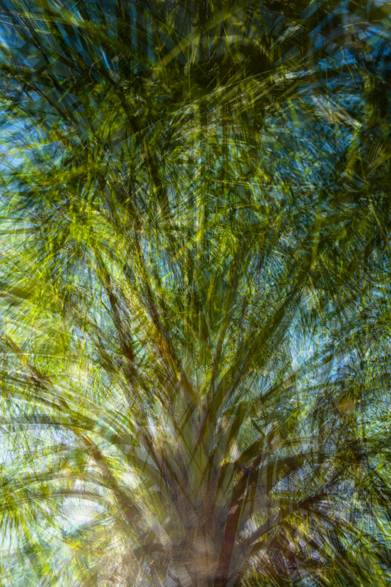 Near Moonshine gorge, El Questro Wilderness Park, The Kimberly, Western Australia