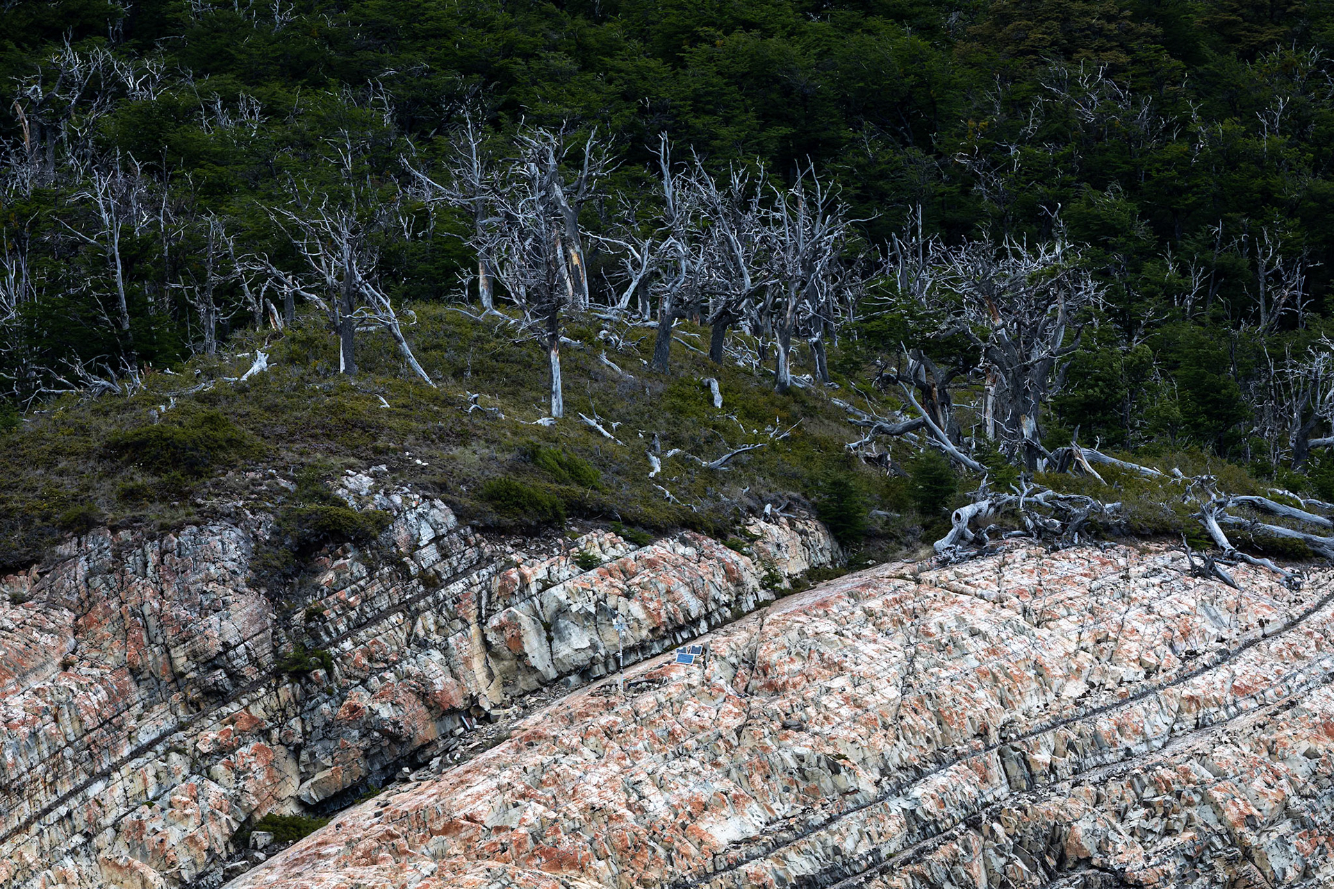 Perito Moreno Glacier, Calefate, Patagonia