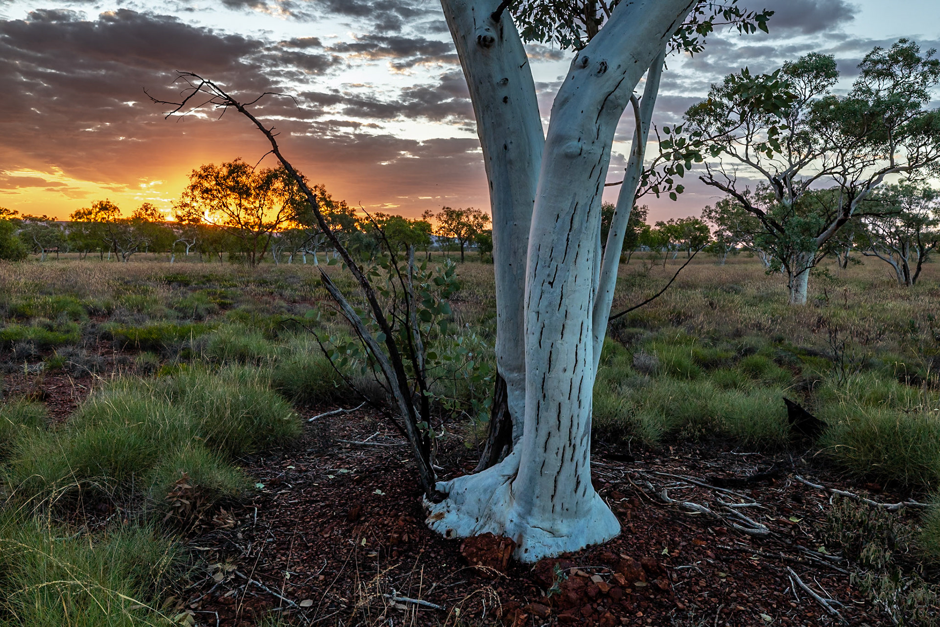 Karijini National Park, Western Australia